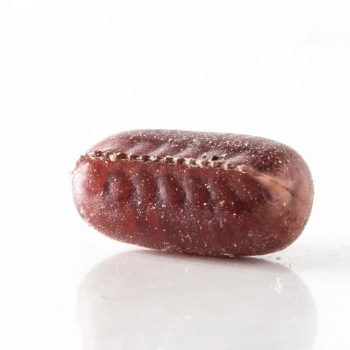 A cockroach egg case