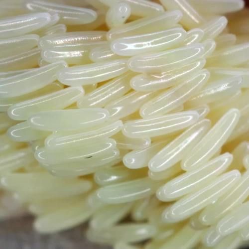 eggs laid by a fly 