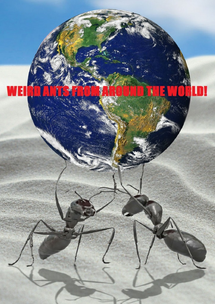 Ants Globe 2