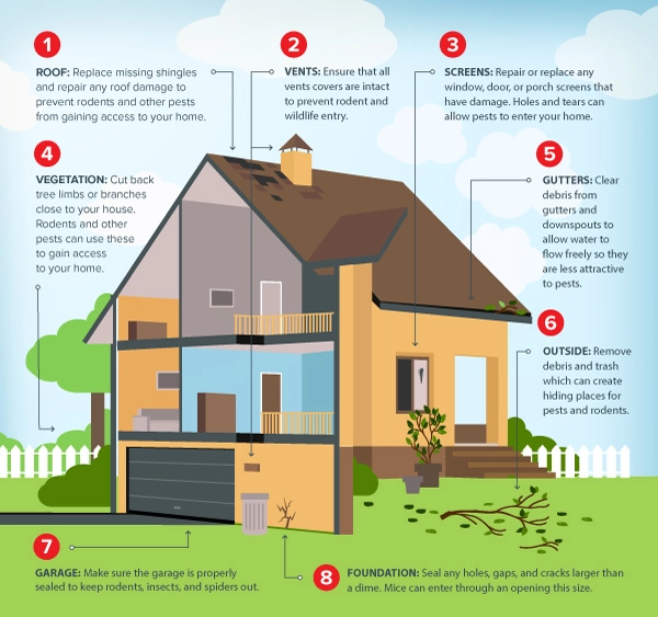 The secret ways pests can enter your home