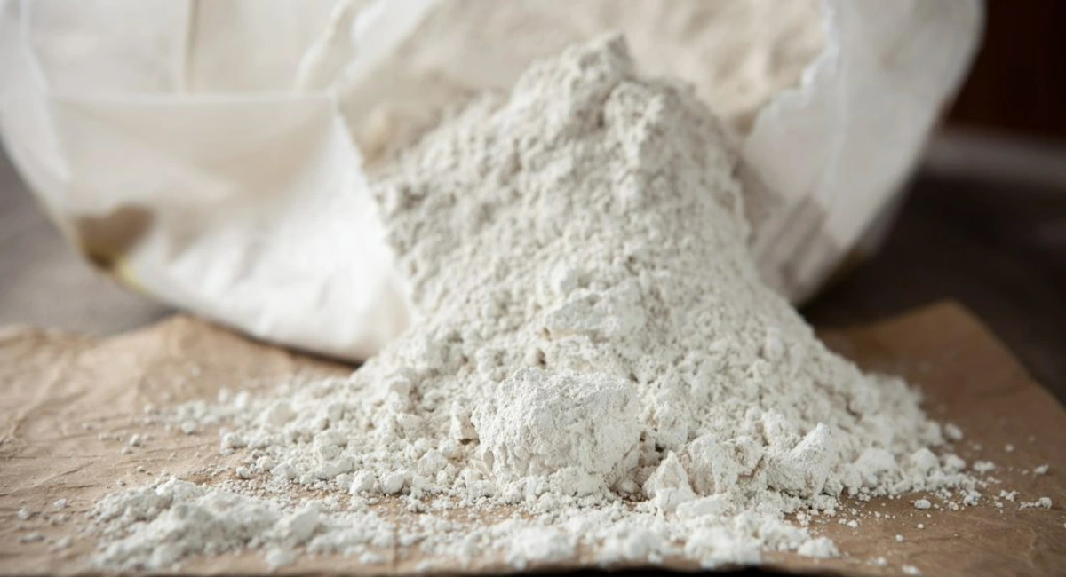 DIY termite treatments: Diatomaceous earth