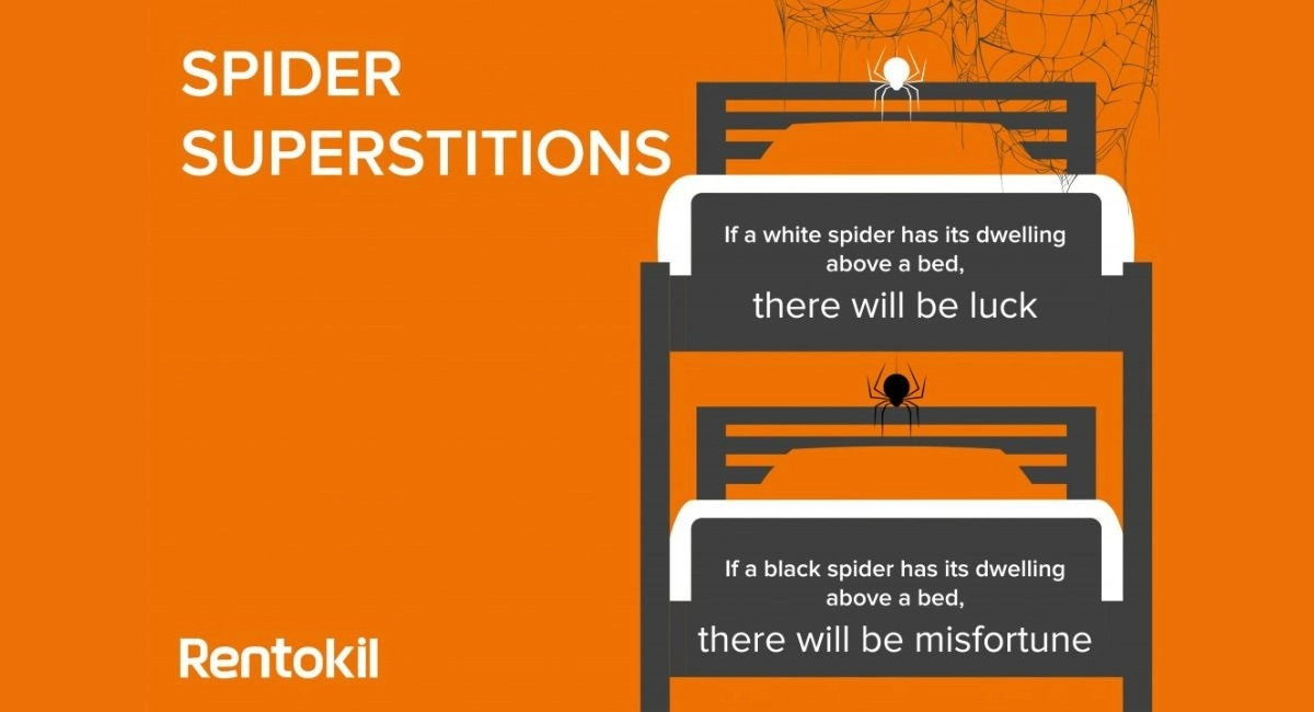 Spider superstitions