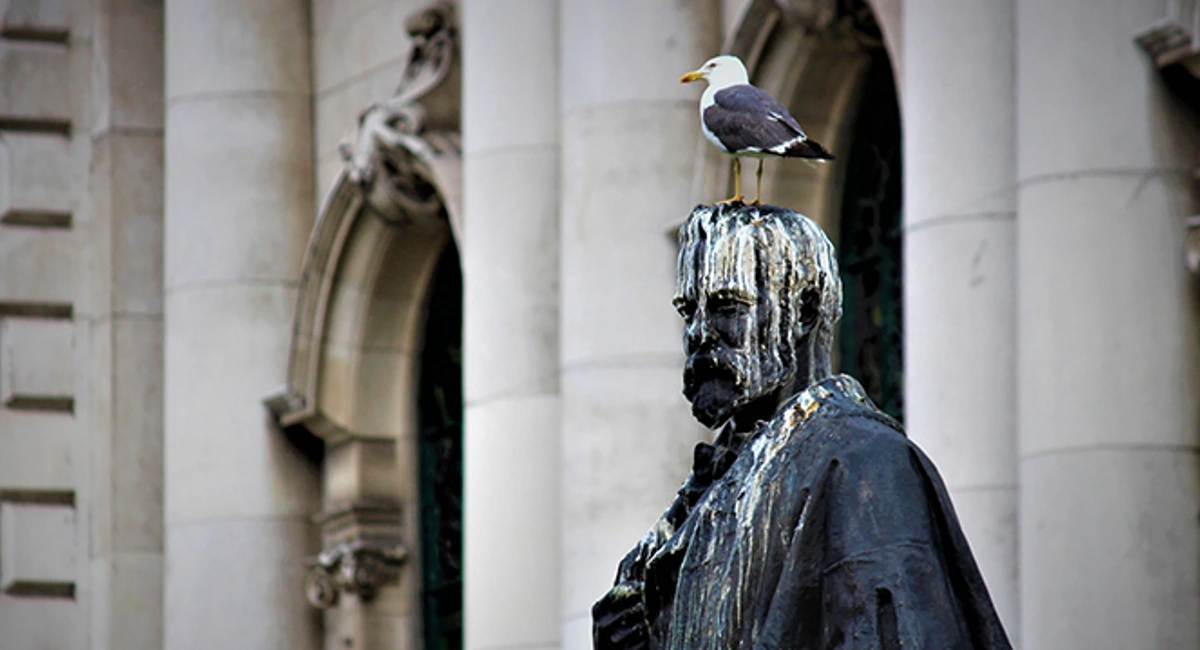 Bird dropping on statue