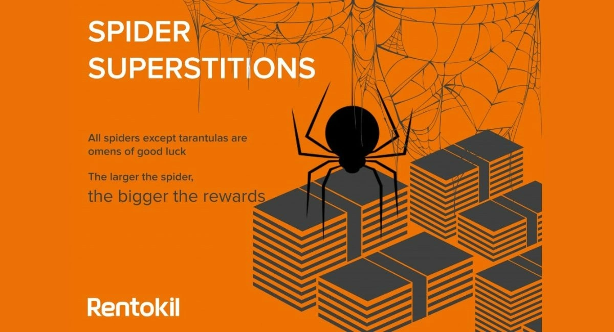 Spider superstitions