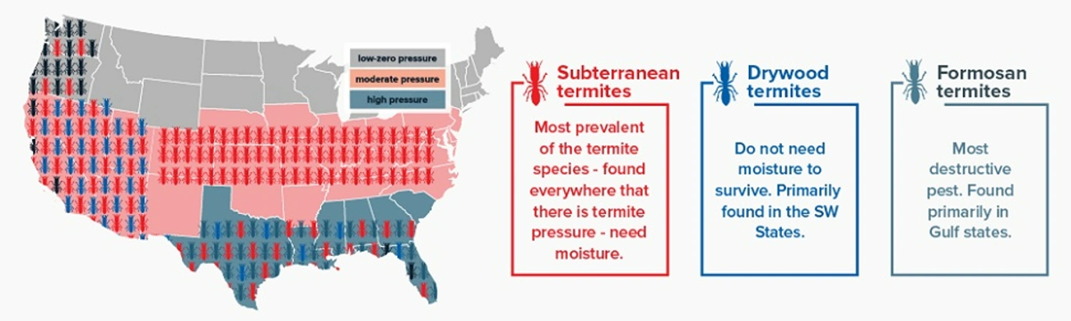 termite heat map