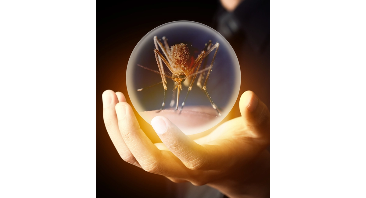 Crystal Ball
