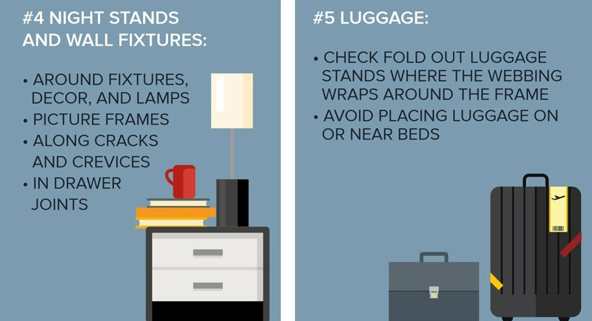 Bedbugs Infographic 5