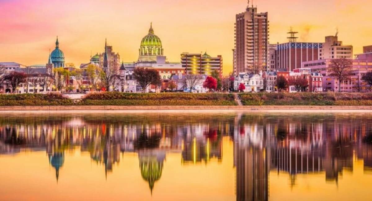 top 5 cities for termites