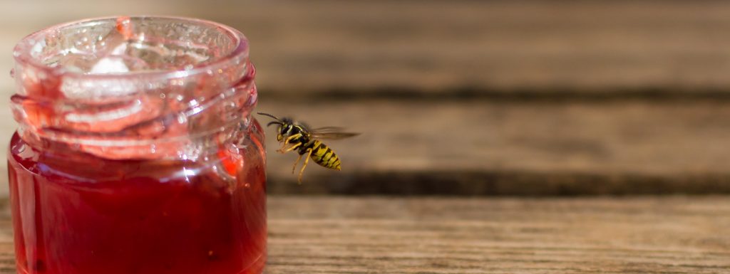 rentokil-image-global-wasp-drink-glo.jpg
