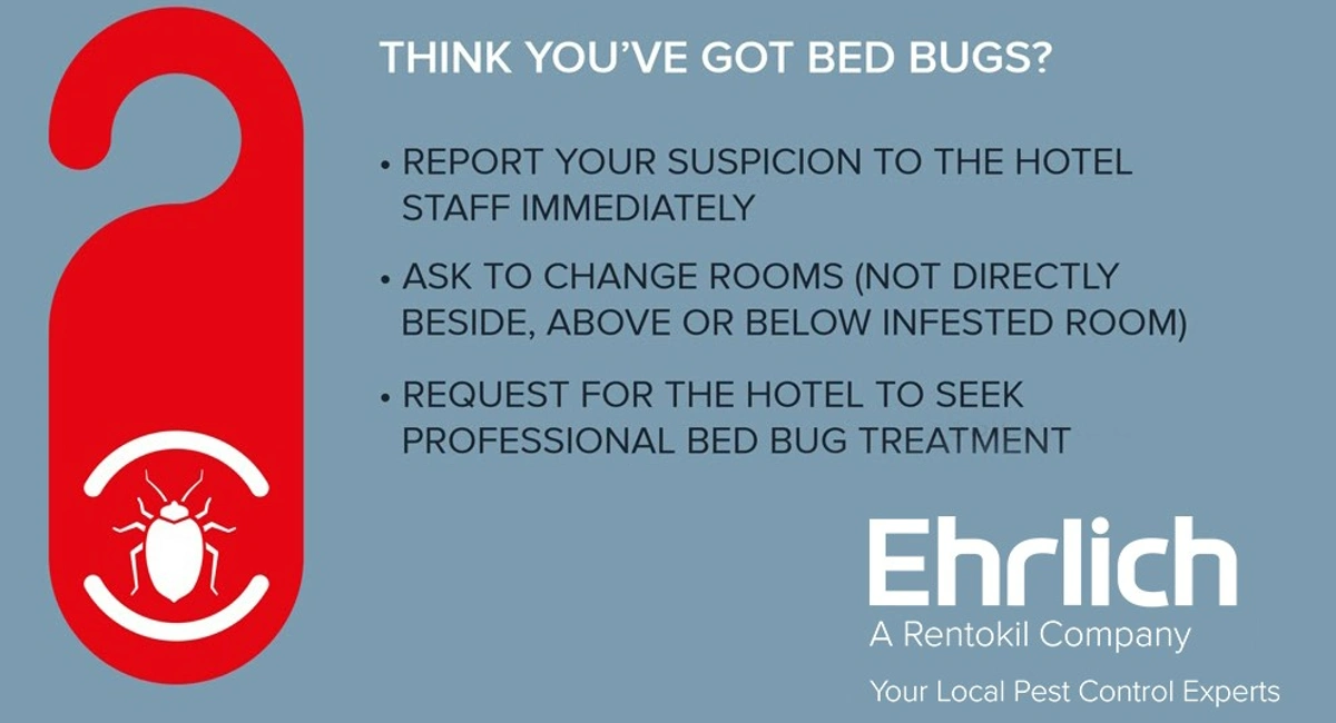 Bedbugs Infographic 6