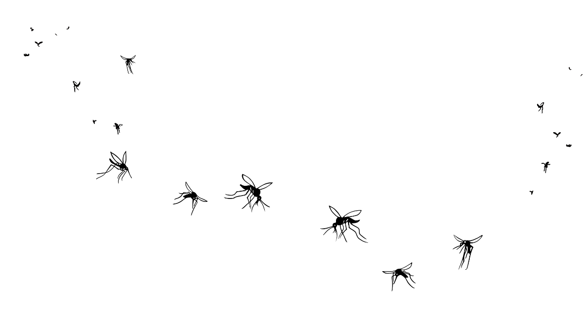 Animated mosquitoes