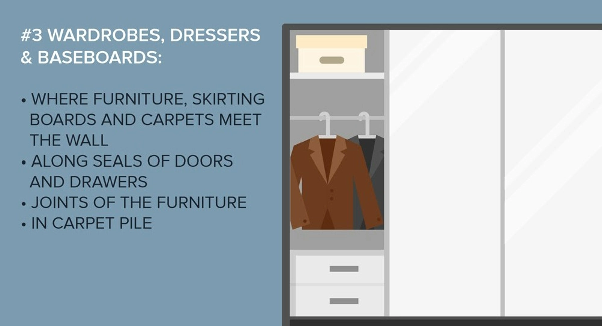 Bedbugs Infographic 4
