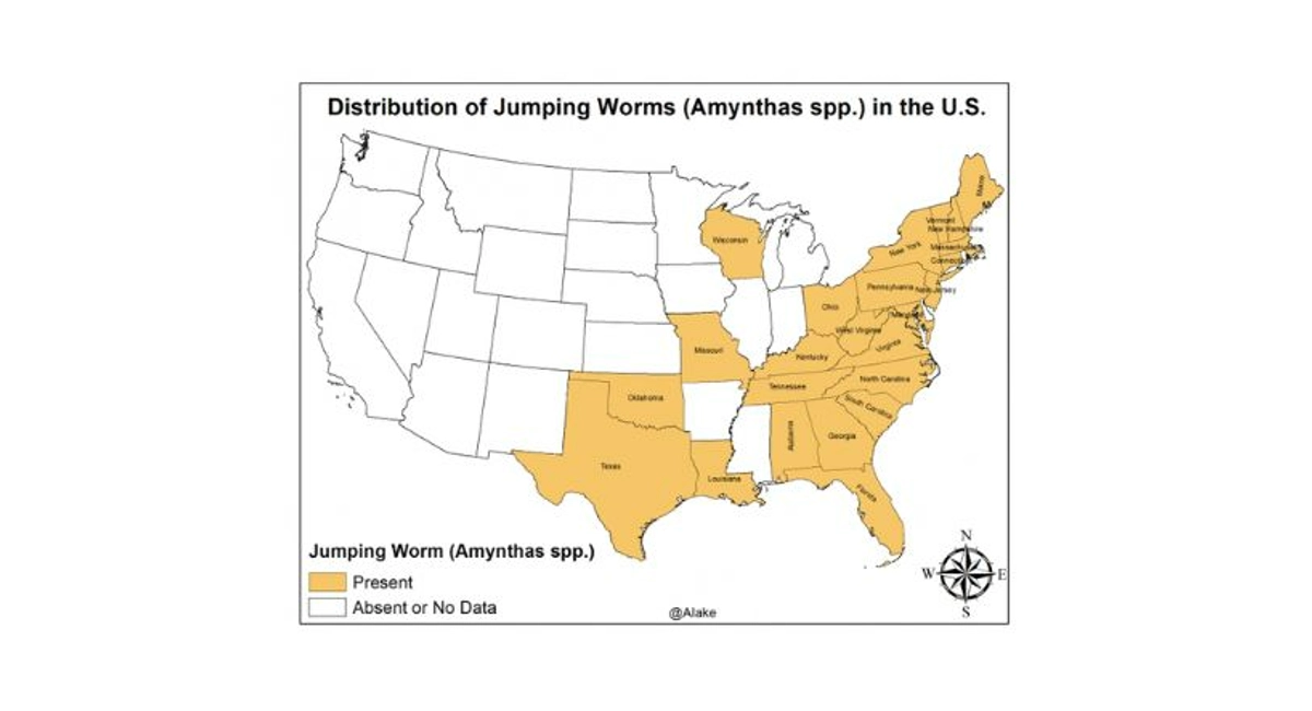 Map of United States with majority of the states on the eastern coast colored in yellow showing where jumping worms are found. 