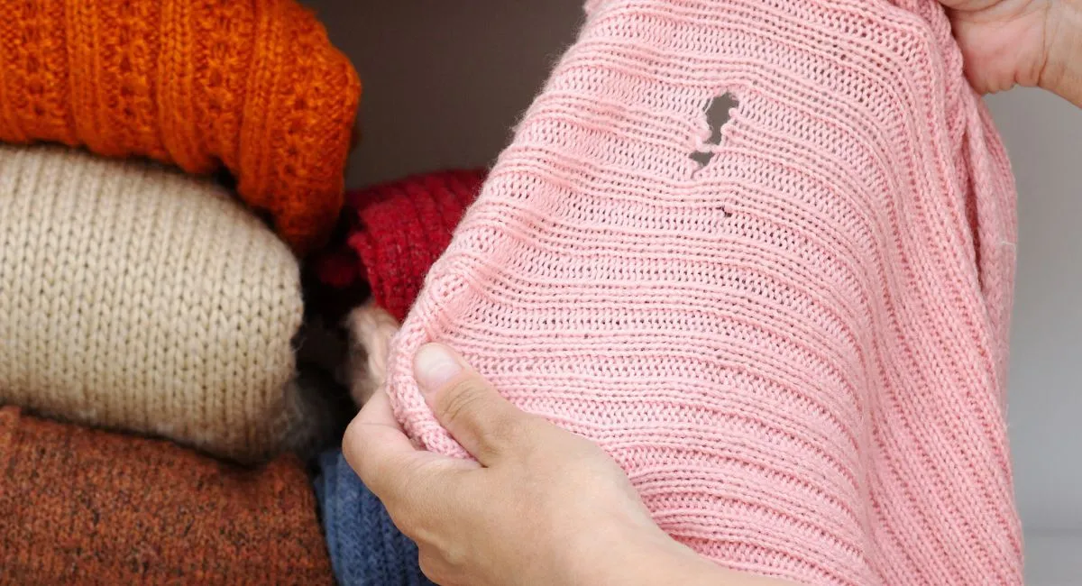 Crop of woman's hands holding pink sweater with a hole made by a moth