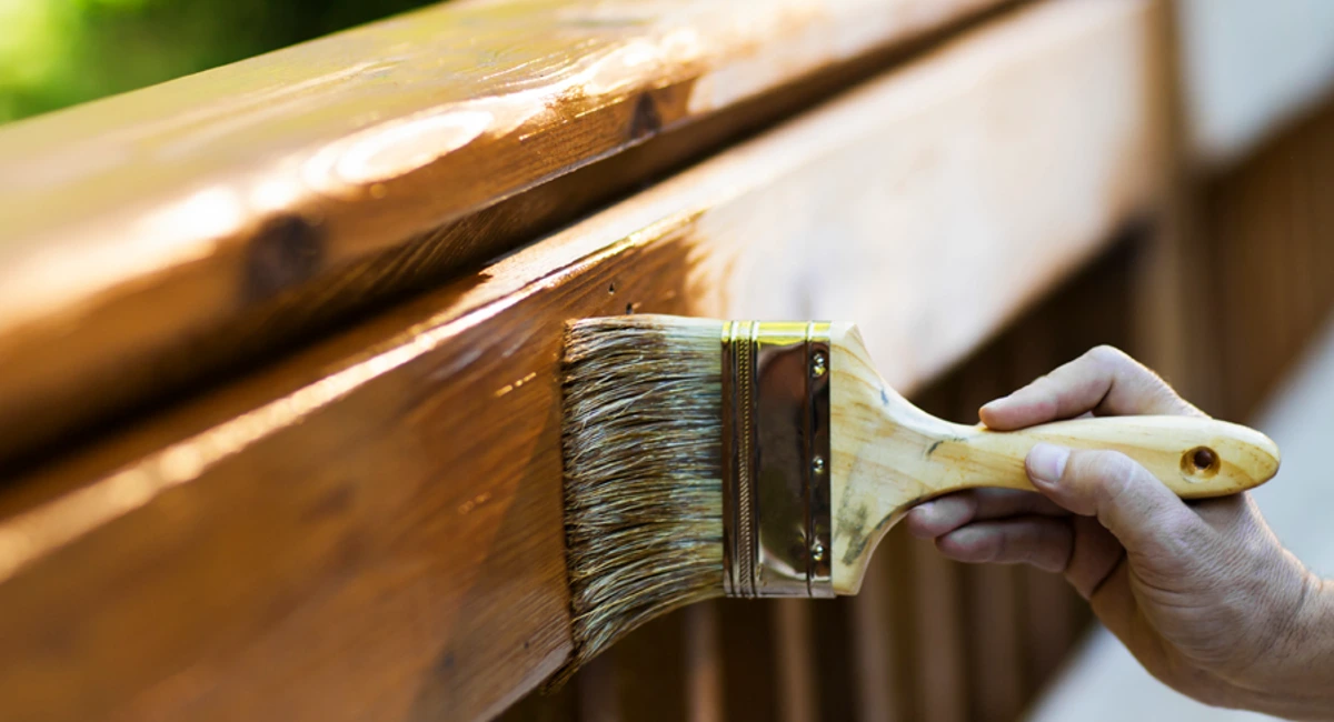 Staining your deck can help keep wood-destroying pests at bay.