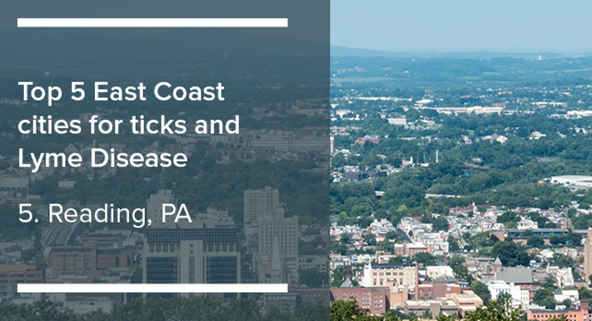 Top 5 East Coast Cities for Lyme Disease: Reading