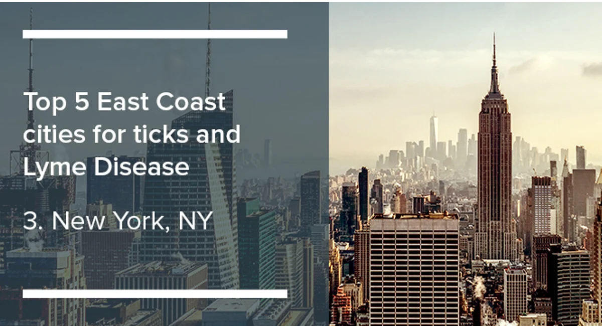 Top 5 East Coast Cities for Lyme Disease: 3 - New York