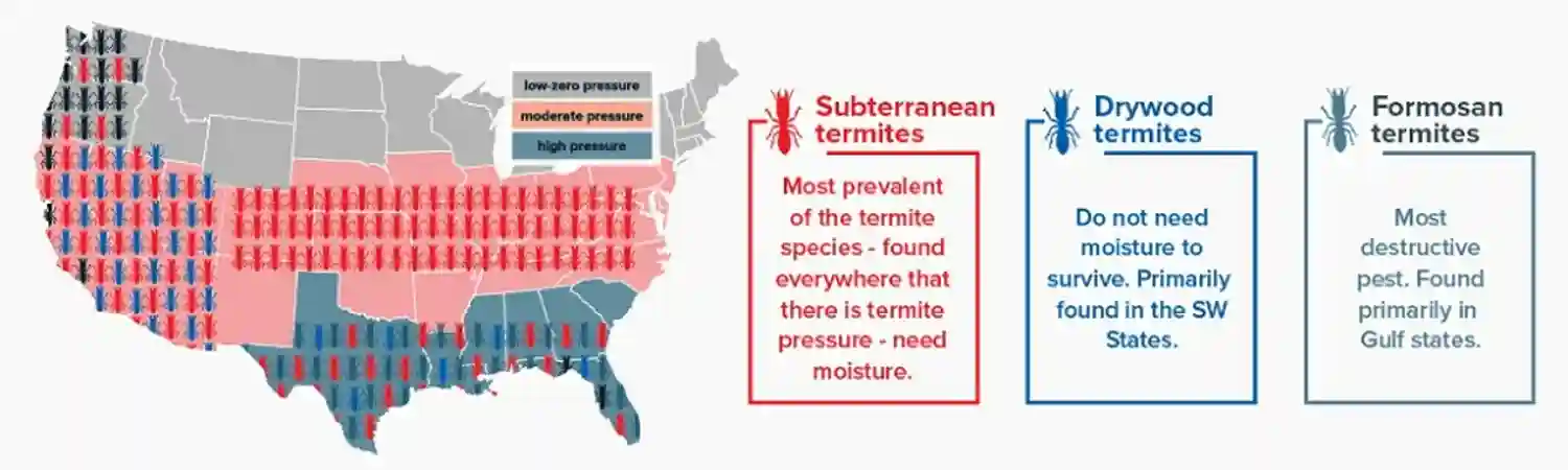 termite heat map