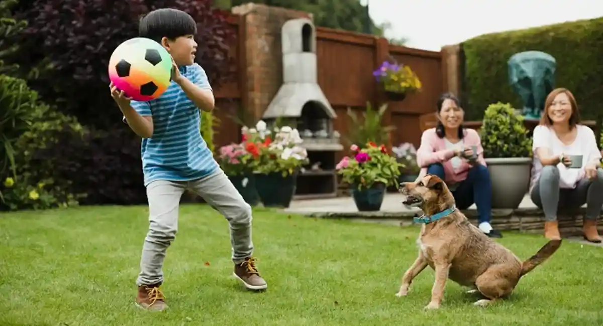 family enjoying time outside playing ball with pet dog