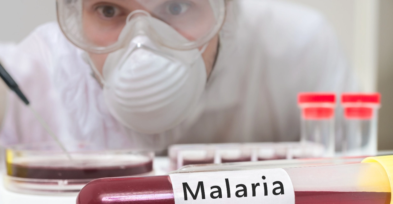 malaria