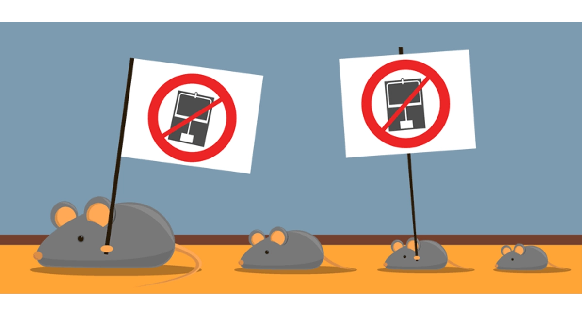 Facts about mice