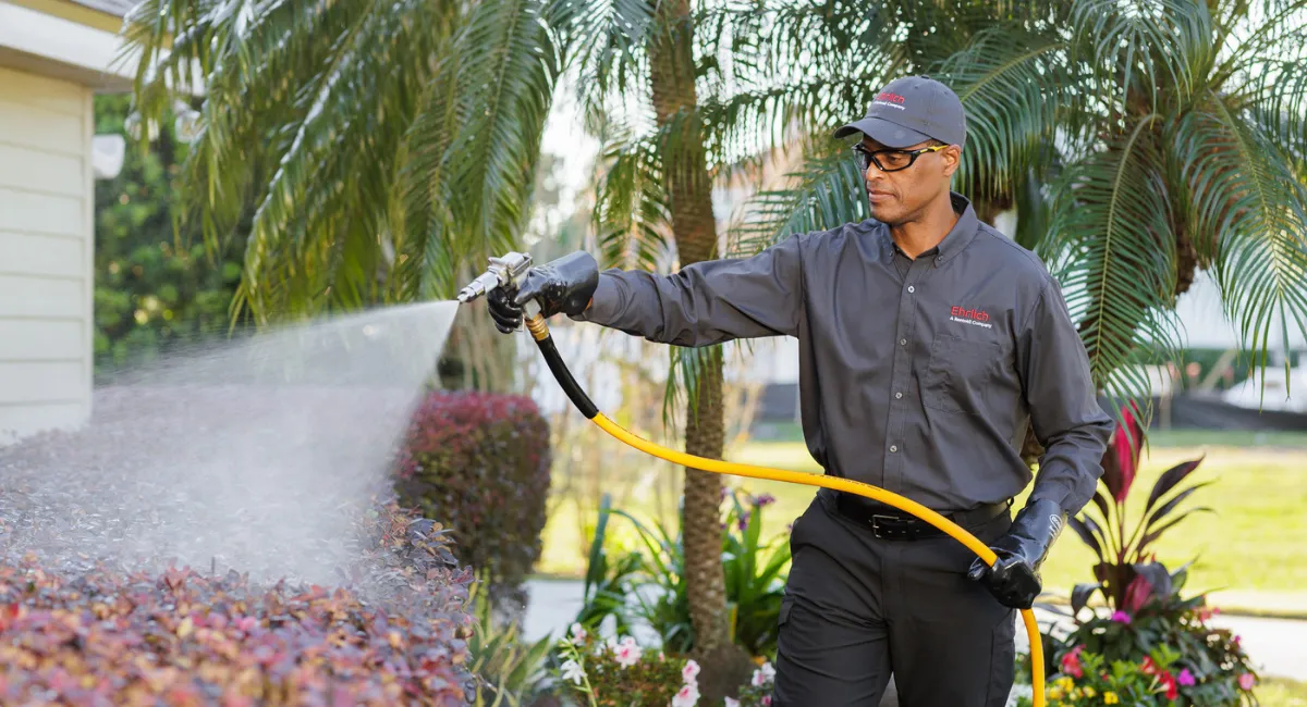 Ehrlich technician spraying bushes for pest control