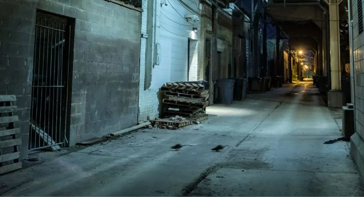 Dark and eerie urban city alley at night with rats running across