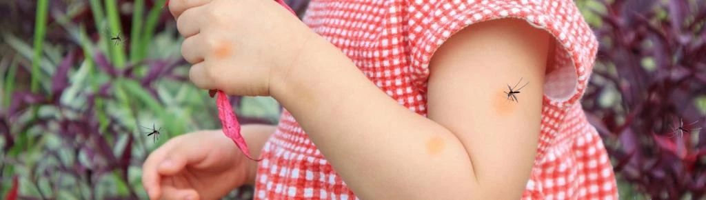 Mosquito bite