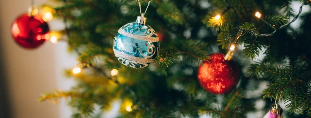 Real Christmas decorated with red and blue ornaments