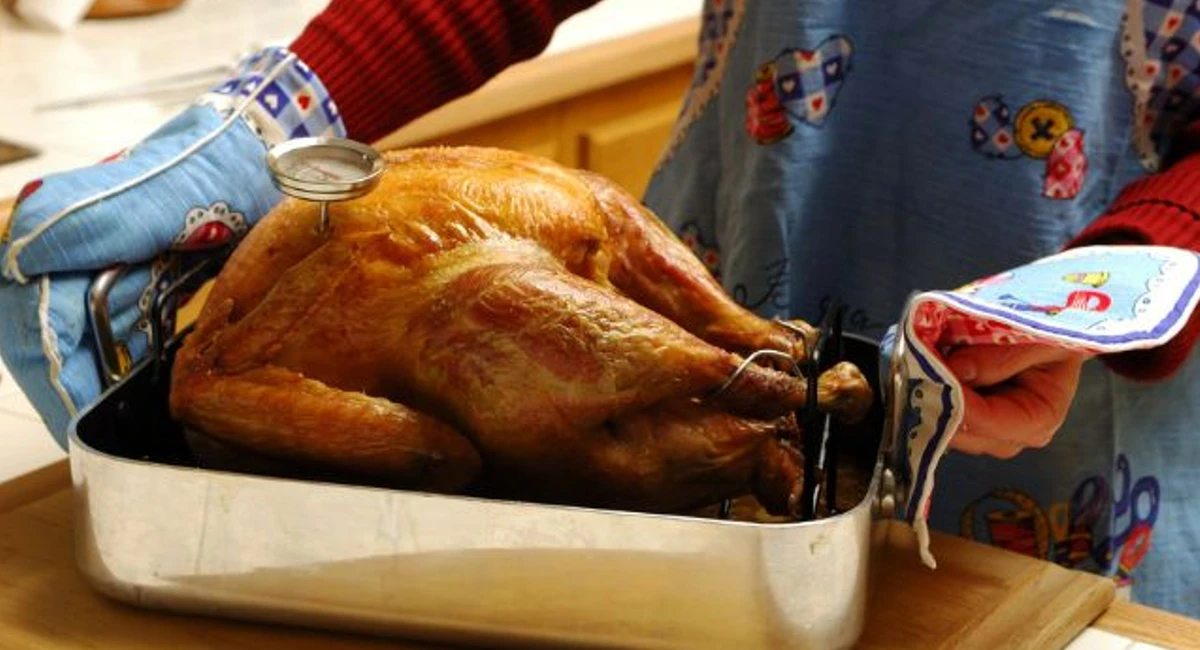 Checking turkeys temperature
