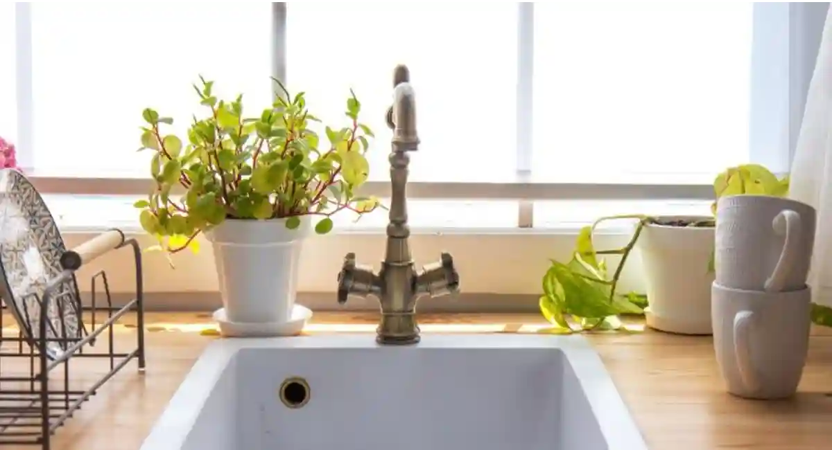 Clean kitchen sink with flowers