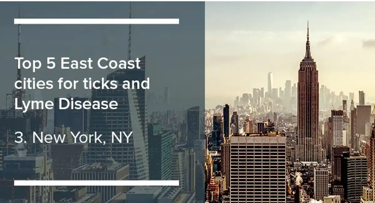 Top 5 East Coast Cities for Lyme Disease: 1 - Pittsburgh
