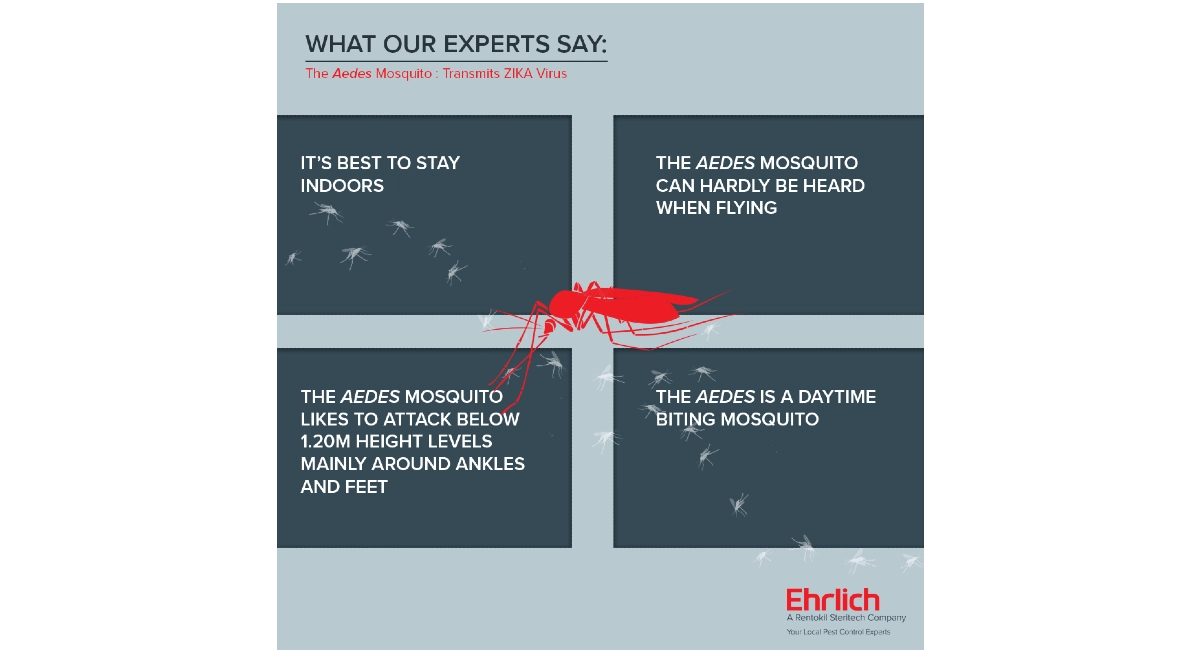 Experts Zika