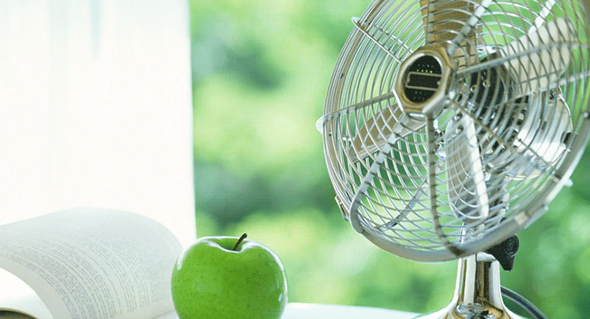 Fan next to a green apple and book
