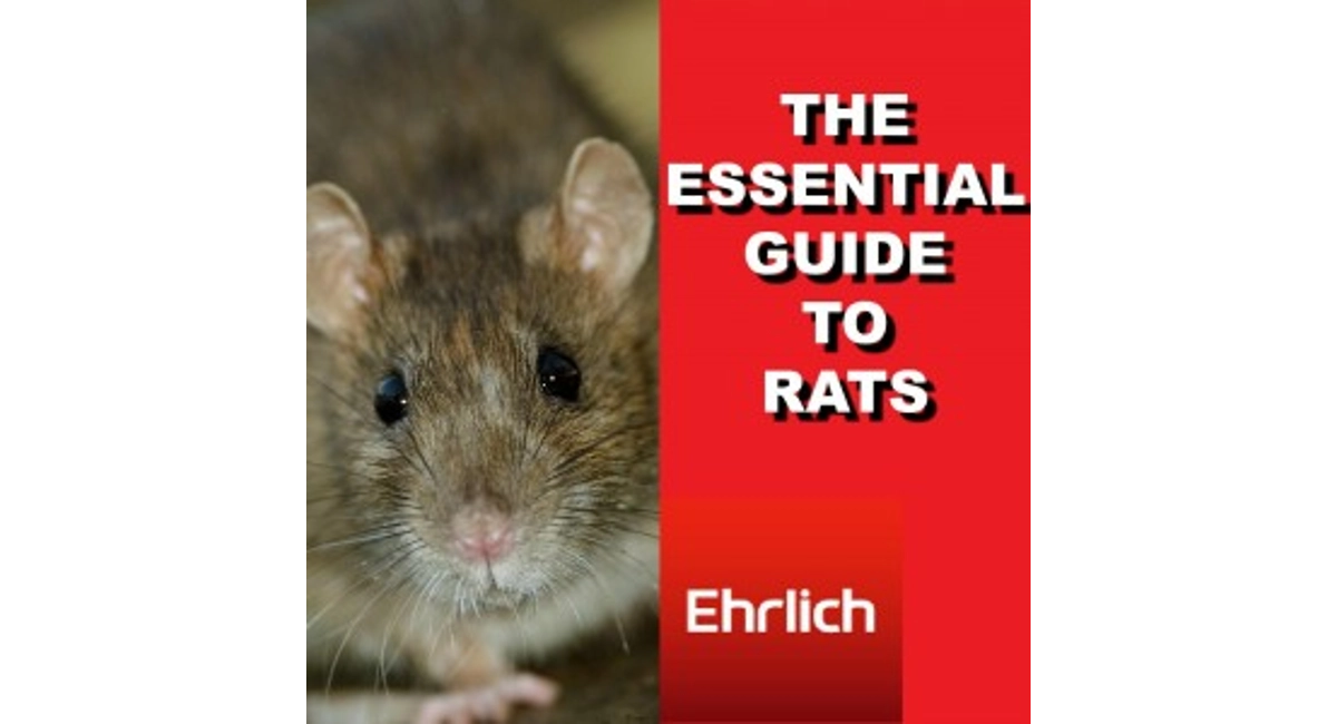 essential guide to rats cover FINAL
