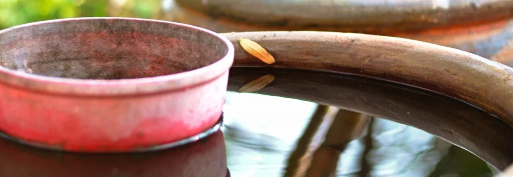 backyard pot with water