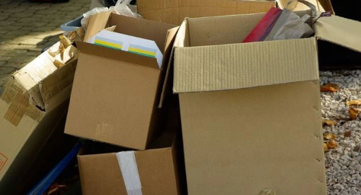 DIY termite treatments - Cardboard traps