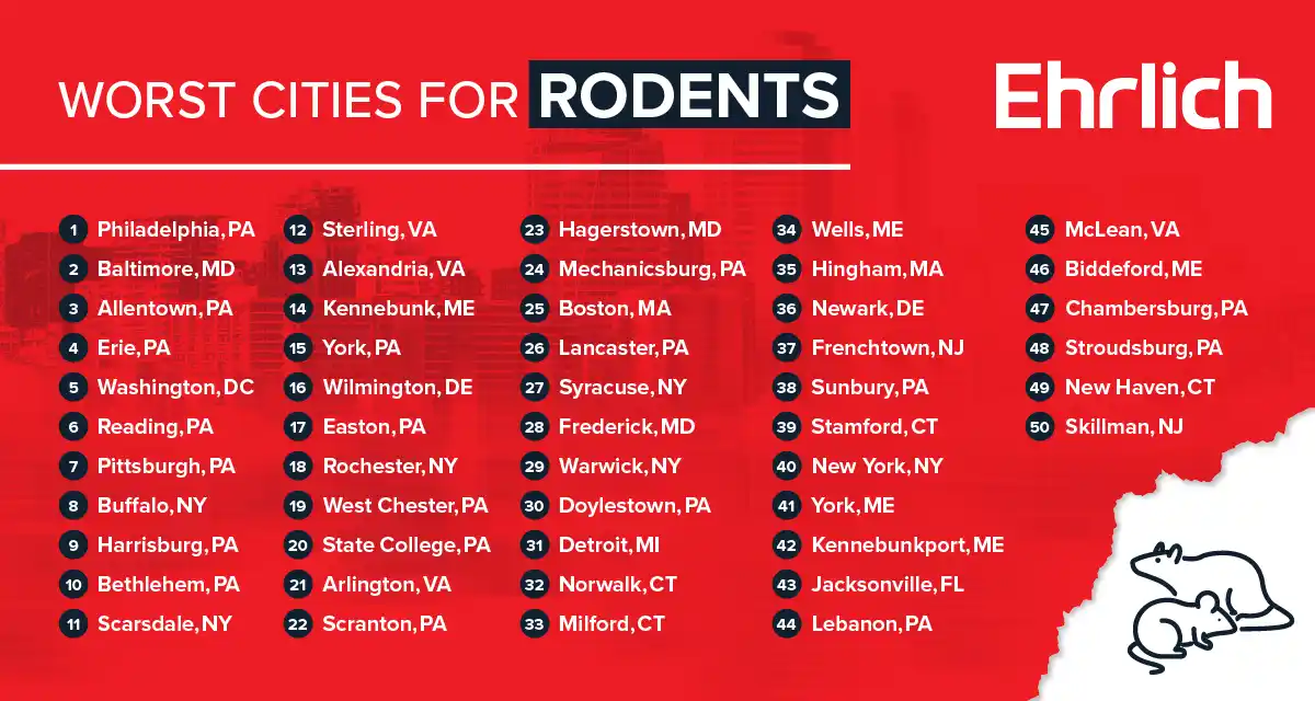 Ehrlich infographic listing the worst cities for rodents on a red background.