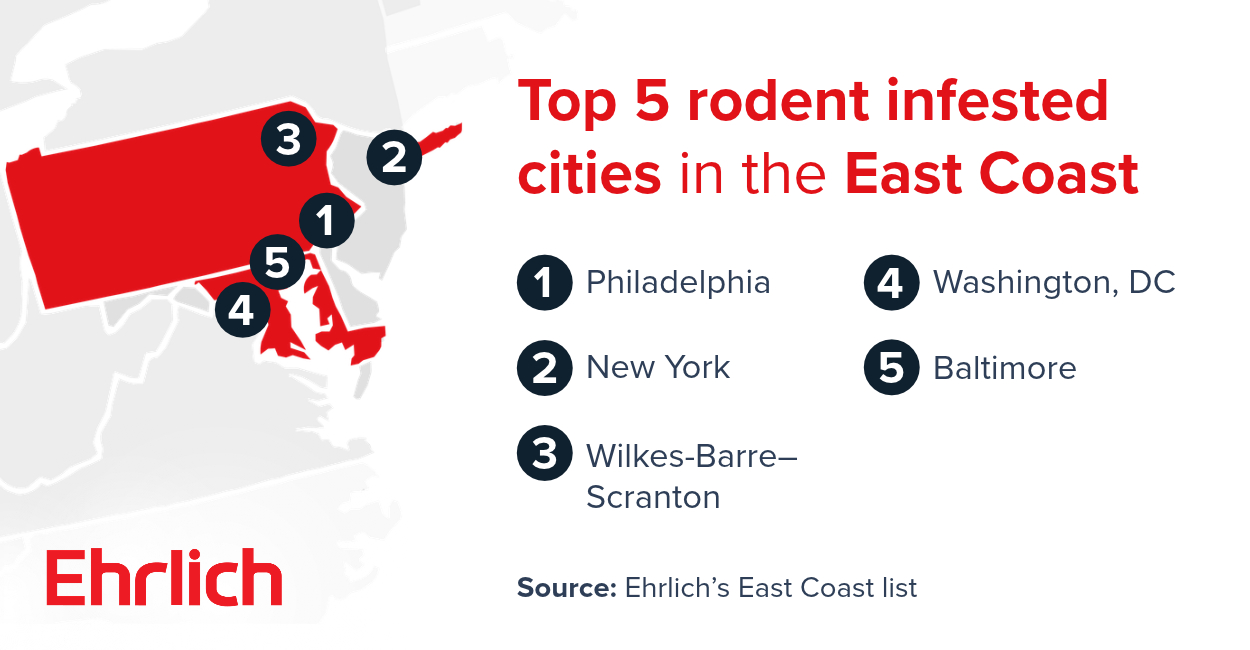 Infographic listing the top 5 rodent-infested cities on the East Coast according to Ehrlich: 1. Philadelphia, 2. New York, 3. Wilkes-Barre–Scranton, 4. Washington, DC, and 5. Baltimore.
